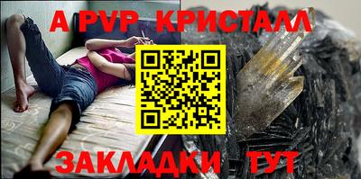 a pvp Кингисепп