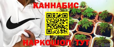 стаф Кинель