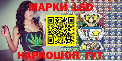 a pvp Кингисепп