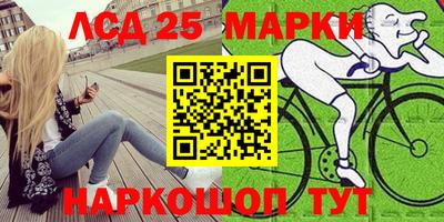 дмт Кандалакша
