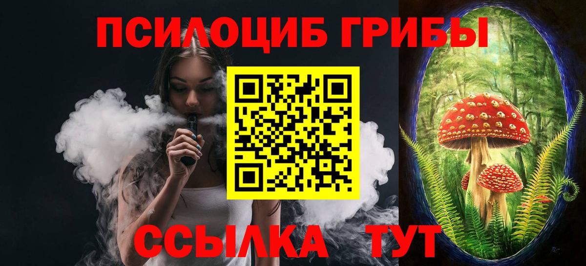 Псилоцибиновые грибы прущие грибы Калач-на-Дону