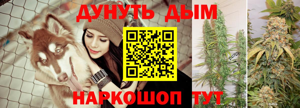 Шишки марихуана семена Калач-на-Дону